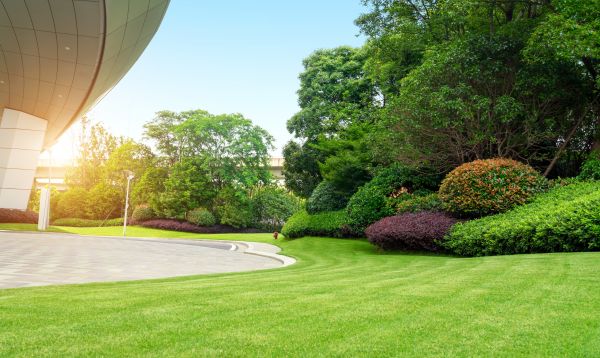 Commercial Lawn Care in Pasadena