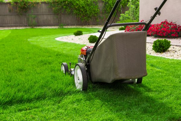 Grass Mowing in Pasadena