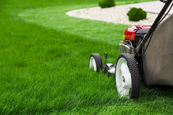 Lawn Cutting Service in Pasadena