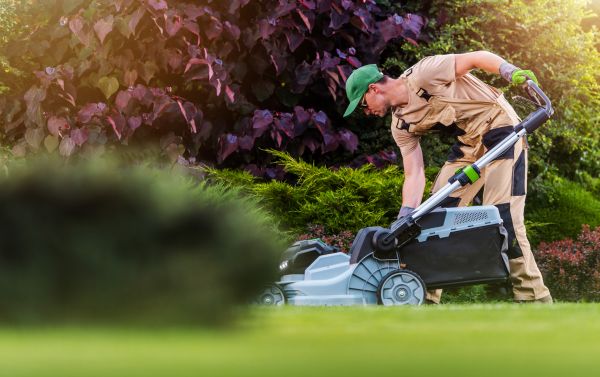 Yard Care Service in Pasadena