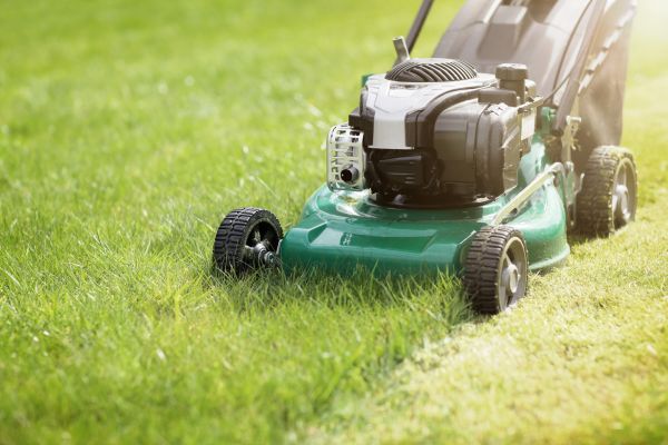 Yard Cutting in Pasadena