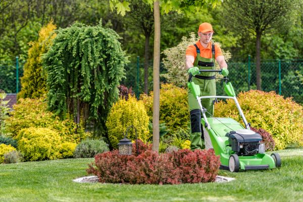 Yard Service in Pasadena