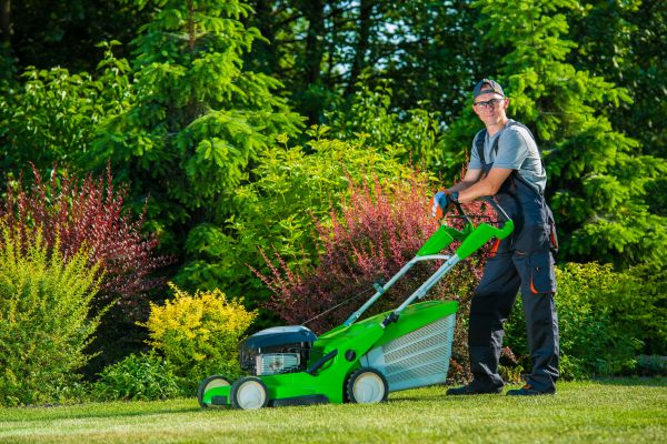 Yard Work Service in Pasadena