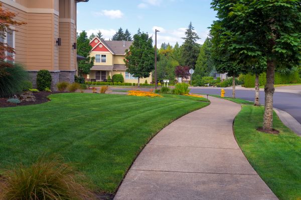 Home Lawn Maintenance in Pasadena