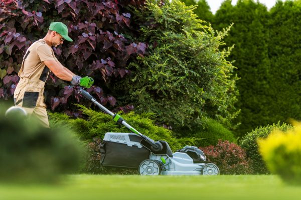 Lawn Management in Pasadena