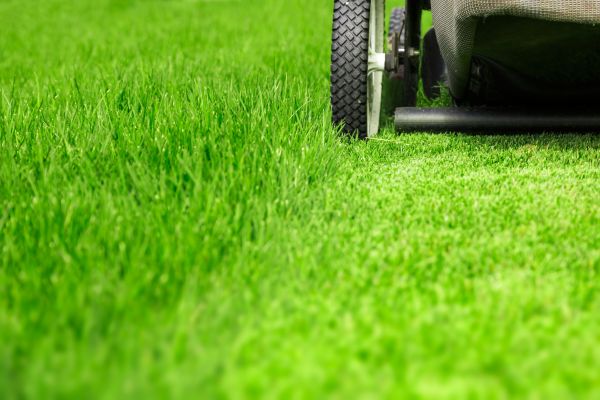 Weekly Lawn Care in Pasadena