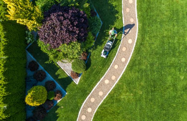 Mowing And Landscaping in Pasadena