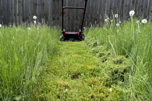 High Grass Mowing in Pasadena
