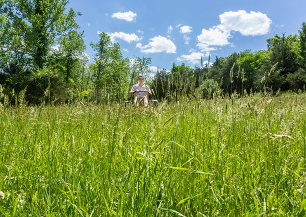 Long Grass Mowing in Pasadena