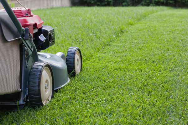Summer Lawn Care in Pasadena