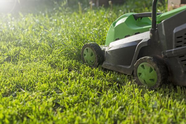 Lot Mowing in Pasadena
