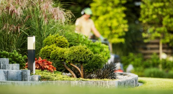 Residential Yard Maintenance in Pasadena