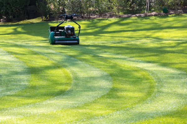 Business Lawn Mowing in Pasadena