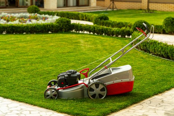 Business Grass Cutting in Pasadena