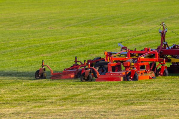 Industrial Lawn Service in Pasadena