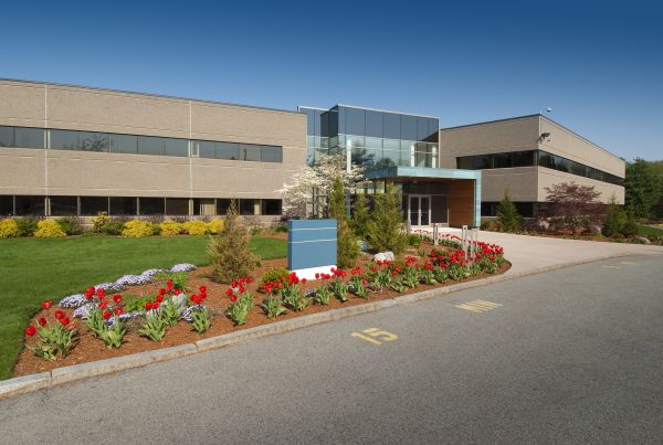 Commercial Groundskeeping in Pasadena
