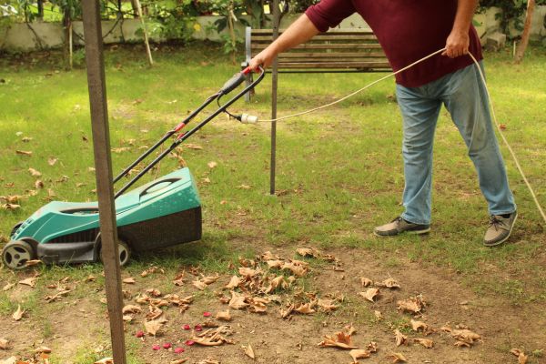 Leaves Mowing in Pasadena