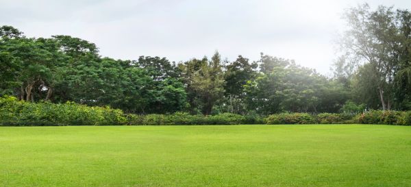 Golf Course Mowing in Pasadena