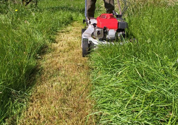 Leaf Mowing in Pasadena